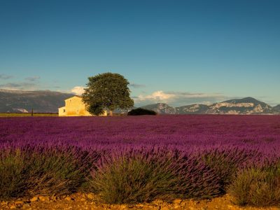 Alpes de haute provence (6)