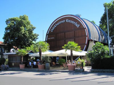 Pfalzerwald (5)