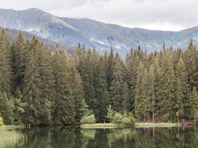 Slovakije (10)