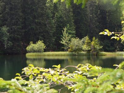 Slovakije (7)