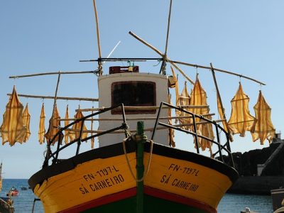 madeira5